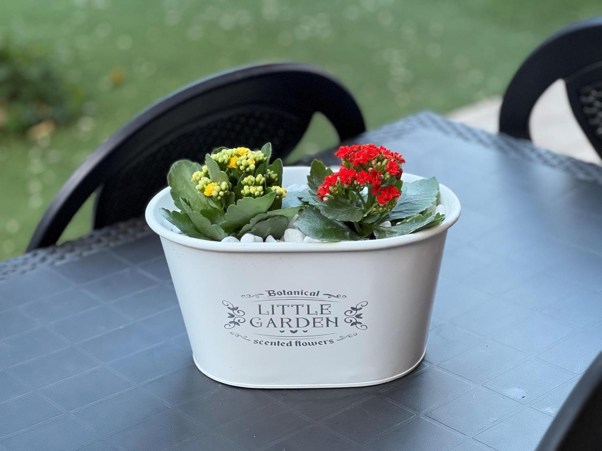 Casa Paestum. Your Wonderful Garden In ローマ エクステリア 写真